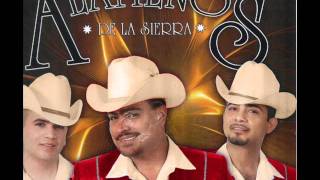 Los Alameños de la sierra        Ojitos de capulin