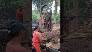 Download lagu Detik detik pita bensaw hantam paku.#sort#sorts #viral @jtmkayuofficial3403 mp3 Download lagu Detik detik pita bensaw hantam paku.#sort#sorts #viral @jtmkayuofficial3403 mp3