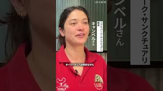 減るコアラの天敵は人間？ 試行錯誤の保護現場