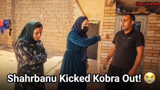 Download lagu Shahrbanu kicked Kobra out of the house! 😭 When Qasim returned, everything was ruined. mp3