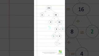 Factor Tree of 256 | Prime Factorization Made Easy!
