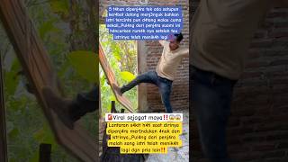 Download lagu 🔴Kang Dedi Mulyadi‼️help make this go viral mp3 Download lagu 🔴Kang Dedi Mulyadi‼️help make this go viral mp3