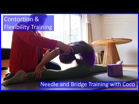 Contortion Training by Flexyart 190: Needle/Bridge with Coco-Also for Yoga, Poledance, Ballet, Dance