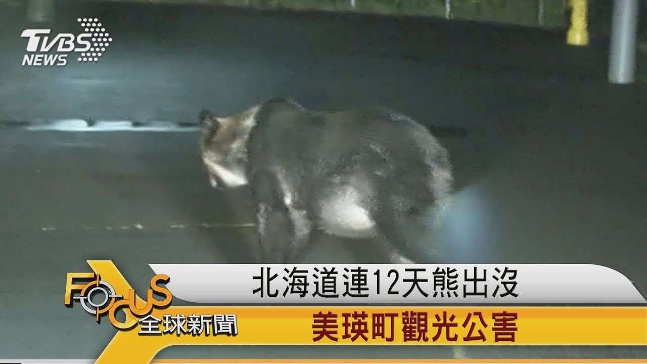 北海道熊出沒!連續12天現身札幌住宅區