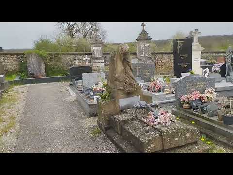 Tombe de l'actrice Solveig Dommartin (Les Ailes du désir) au cimetière de Bulgnéville