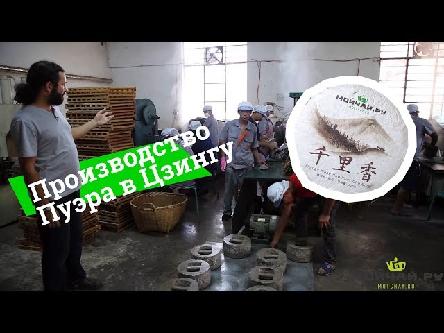 Производство пуэра Moychay.ru. Цзиньгу, Юньнань. Production of Moychay.ru Puer tea.