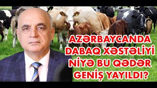 Azərbaycanda dabaq xəstəliyi niyə bu qədər geniş yayıldı?