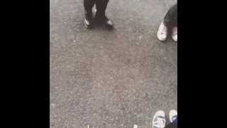 Manic Street Preachers - (It's Not War) Just The End Of Love SOUNDCHECK