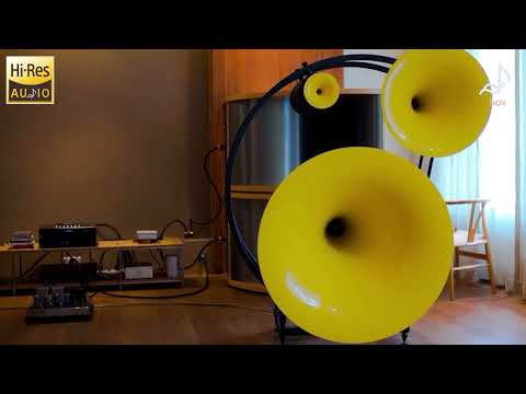 Premium Audiophile Test | Experience 24-Bit FLAC Hi-Res Sound