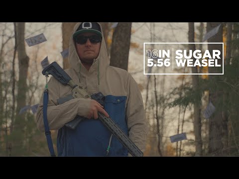 Q  |  16 Inch SUGAR WEASEL!!