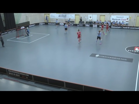 F02 Särö Seahawks - IBF Backadalen