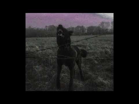 SILVIA PLAYA X ZECKI - INTRODUCTION