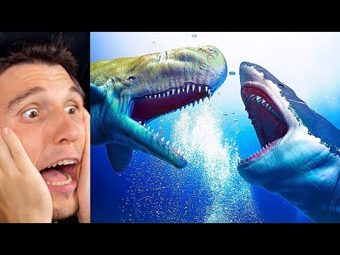 Paluten REAGIERT auf Megalodon VS Livyatan: Wer würde gewinnen?