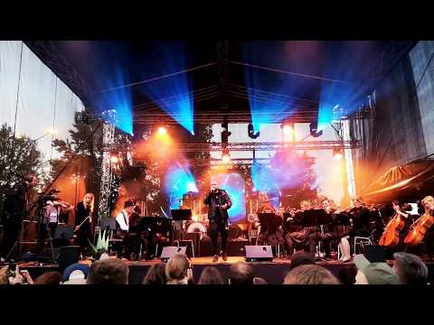 Pawbeats Orchestra ft. VNM - Fan 3