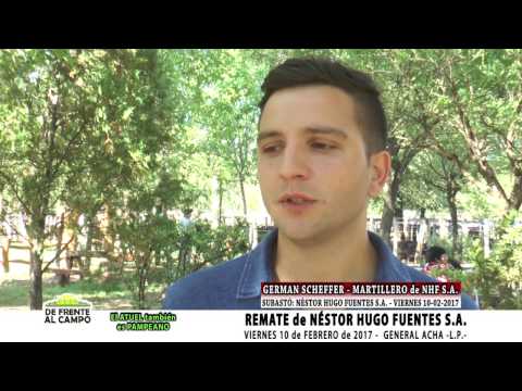DE FRENTE AL CAMPO junto a NÉSTOR HUGO FUENTES S.A. -GERMAN SCHEFFER - -
