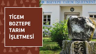 TİGEM - Boztepe Tarım İşletmesi