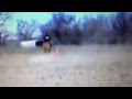 IMG 2181