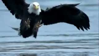 End of the Line | Original Music by loopyone73 and smartbluecat