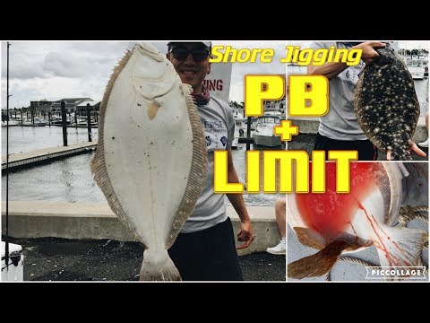 Shore Fluke Fishing: PB and Limit!