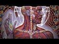 TOOL Lateralus Full Album HQ