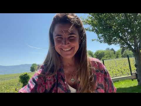 Présentation du magnifique livre   * Imitation de la SAINTE VIERGE *  ( intro)