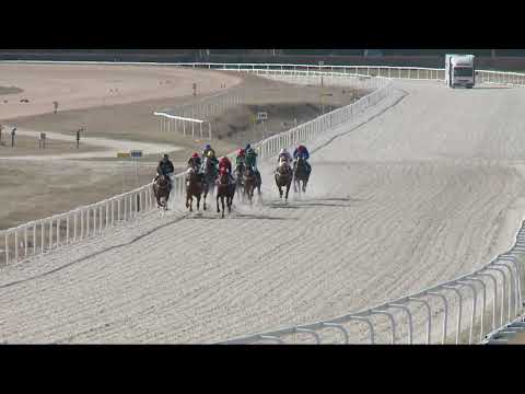 2022.03.27. 03. futam - NYERETLENEK VERSENYE (V.kat.)(szintetikus pálya)