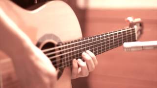 JY Lee - Pat Metheny's guitar solo on 'Our Spanish Love Song'