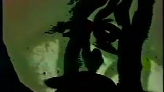 Danielle Dax  'Pariah'