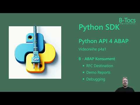 B-Tocs Python API for ABAP - Teil B - ABAP Client