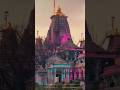 Jai Shree Sanvariya Seth Bank Bhi Chota Padgya Re Shorts Viralvideo Shortsfeed Ytshorts