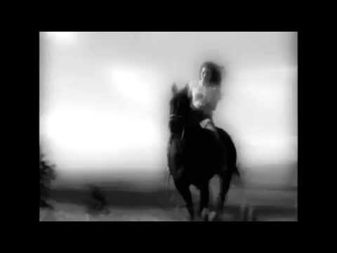 ♦ Flicka 2 ♦ My Immortal ♦