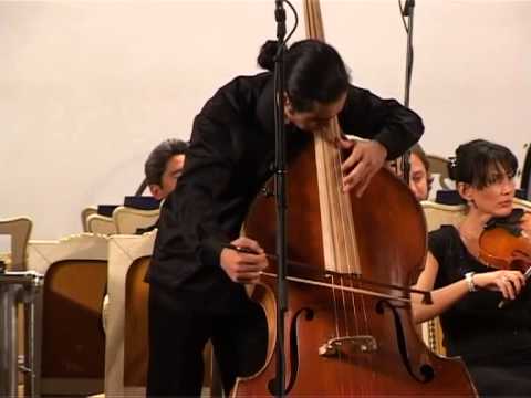 J.M. Sperger - Concerto for Double Bass and Orchestra №15 D-Dur