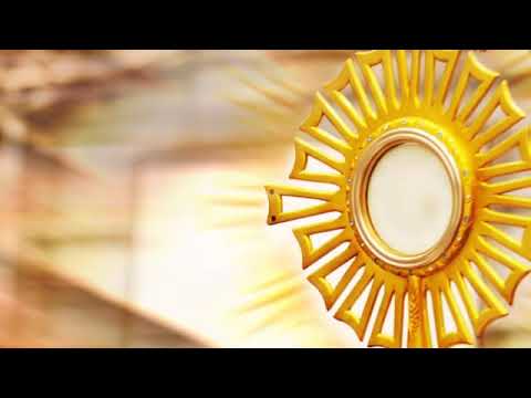 Musicas Catolicas Adoração Ao Santissimo Louvores 2019