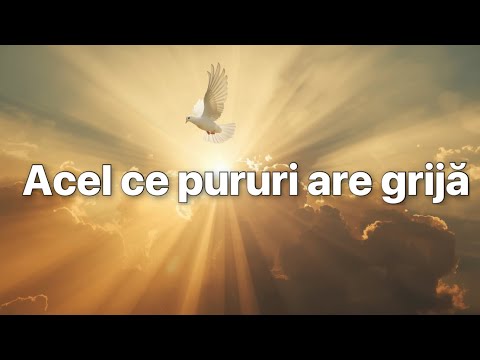 Acel ce pururi are grijă (Cover)