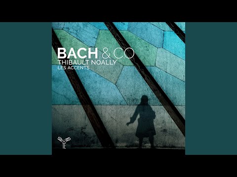 Concerto for Violin and Oboe in D Minor, WV L:d4: III. Allegro