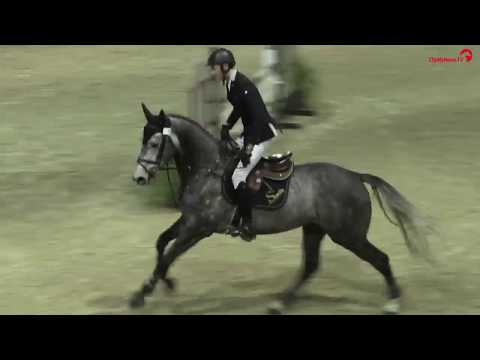 EKANO DKS Master des Etalons de 5 ans Saint Lô 2019