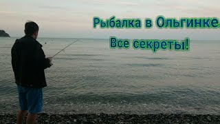 Рыбалка в новомихайловском туапсинского района с берега