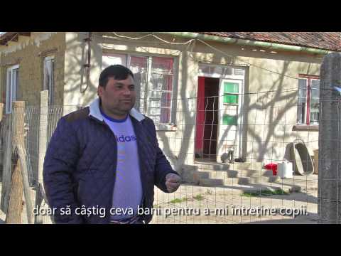 POSDRU 143853 video Portret Diosig Rezmuves Attila Csaba HURO