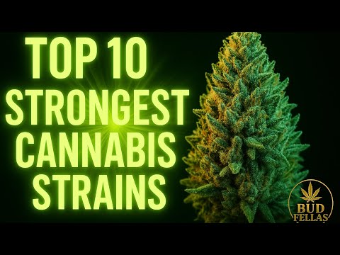 The 10 Most Powerful Cannabis Strains Ever . An Educational video 