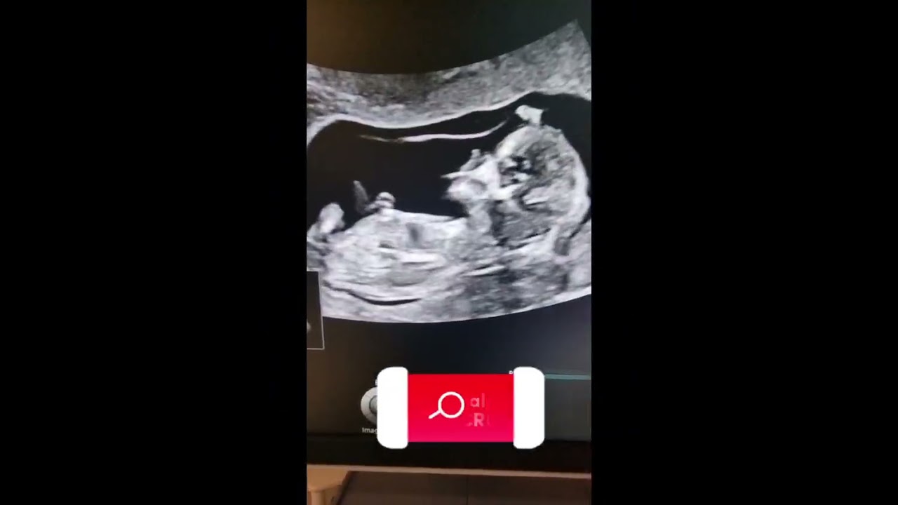 Aleksandra Muskała-Bylica-19