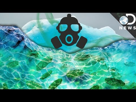 How Global Warming Is Awakening Deadly Diseases