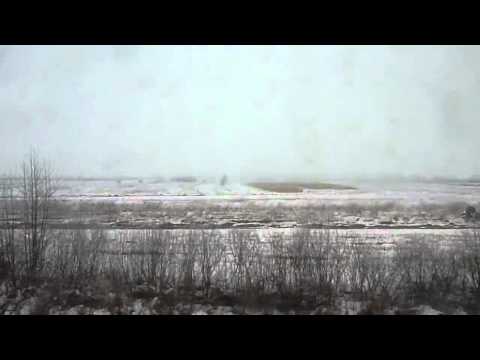 Calatorie cu P3644 pe ruta Butan - Vadu Crisului (Winter Edition) (31 01 2011)