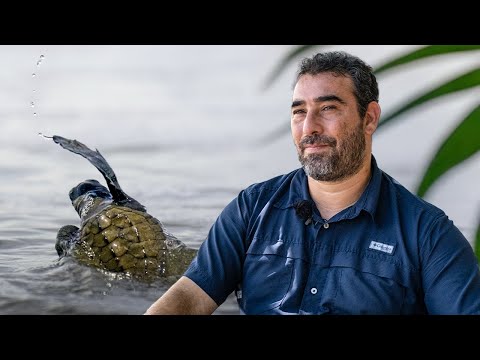 Wildlife Conservation in Costa Rica: Why Every Volunteer Matters | The Great Projects