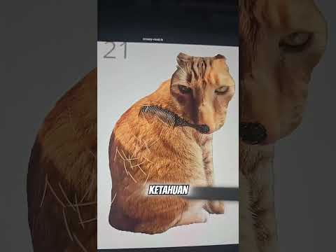 LAWAK!! lu masih inget game popcat klik, ternyata ada yang terbaru nihh