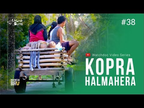 KOPRA HALMAHERA - Ekspedisi Indonesia Biru #38