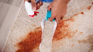 How to get Hair Dye out of a Carpet – Great Cleaning Tips!