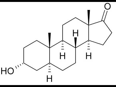 Androsterone | Wikipedia audio article