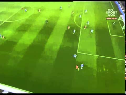 DAVID N'GOG | Incredible GOAL vs Birmingham | FC-IM