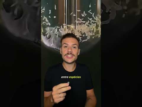 O resultado estranho de cruzar dois peixes diferentes