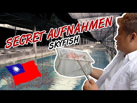👁Skyfish Secret Insights | Die größte Outdoor Shrimpfarm der Welt 🌍